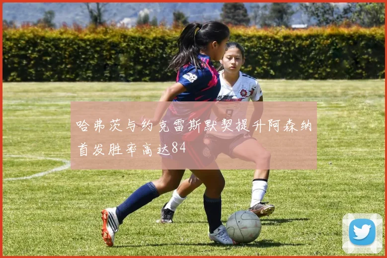 哈弗茨与约克雷斯默契提升阿森纳首发胜率高达84