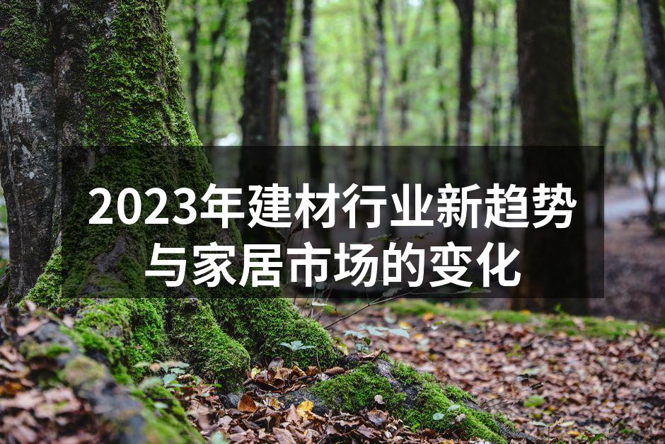 2023年建材行业新趋势与家居市场的变化
