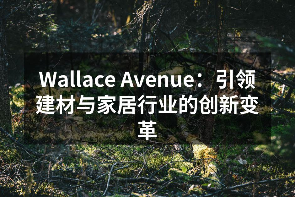 Wallace Avenue：引领建材与家居行业的创新变革